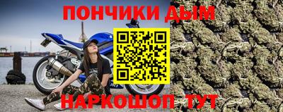 прущие грибы Обь