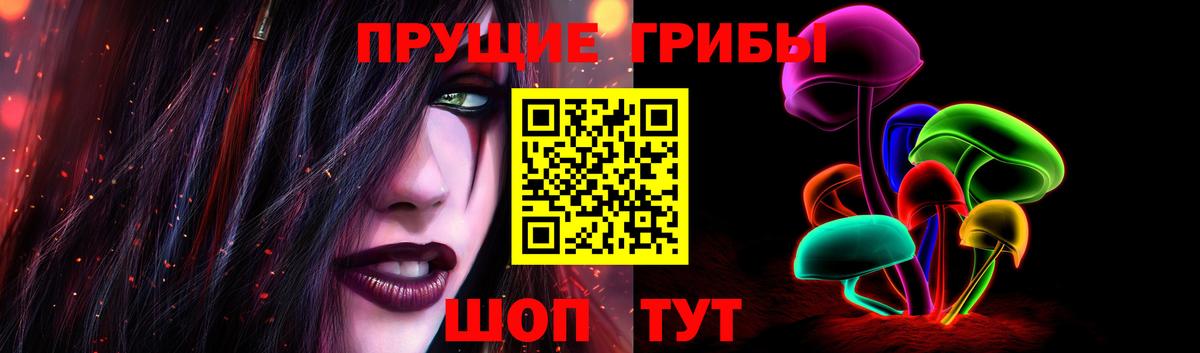 Солнечногорск  Галлюциногенные грибы Psilocybine cubensis  Вход с VPN 